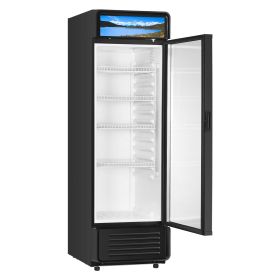 Commercial Merchandiser Refrigerator, 9.7 CU.FT Glass Door Display Refrigerator, Beverage Refrigerator Cooler Merchandiser with Adjustable Shelve
